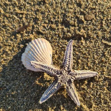 Xristos Halkidiki Apartmán *