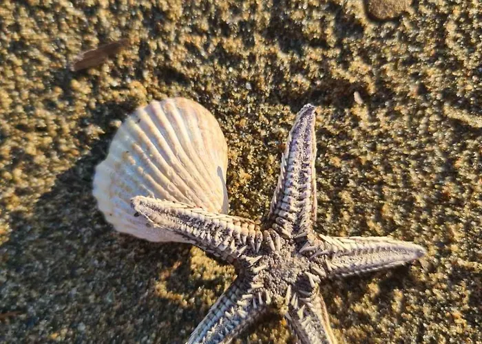 Xristos Halkidiki Appartamento *